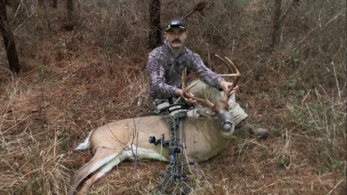 Whitetail harvest with archery equipment