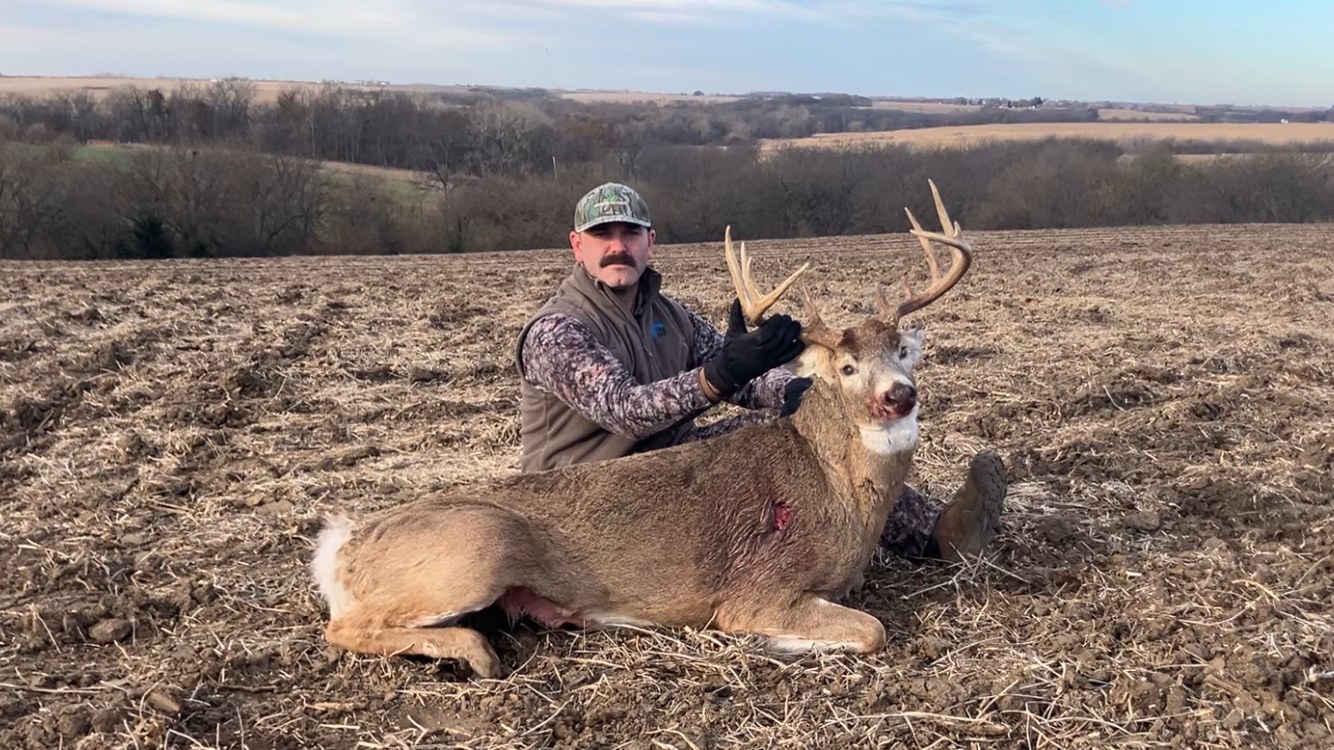 Whitetail deer management result